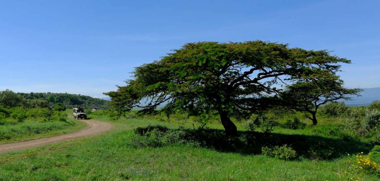 deluxetravelclub_kenia biuro podróży-21_3.jpg