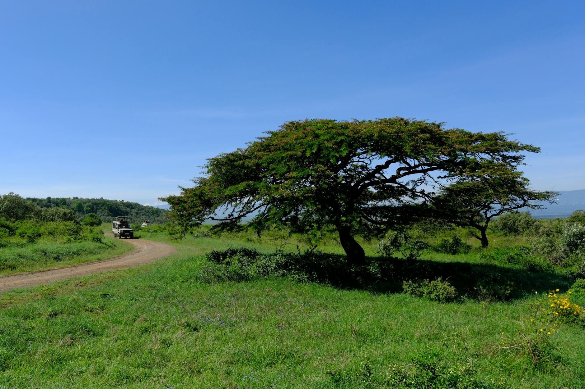 deluxetravelclub_kenia biuro podróży-21_3.jpg